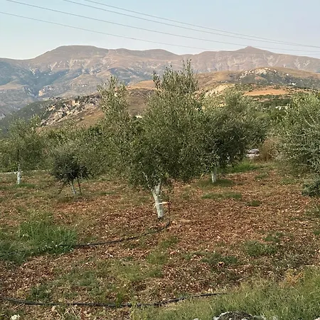 Bardhyl Balili Сasa de vacaciones