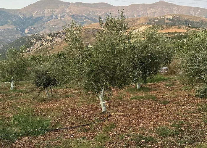 Bardhyl Balili Сasa de vacaciones